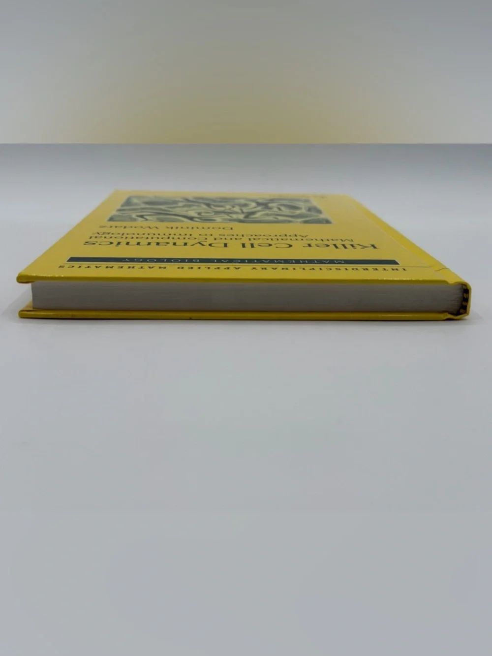 Killer Cell Dynamics: Mathematical and Computational Approaches to Immunology HC